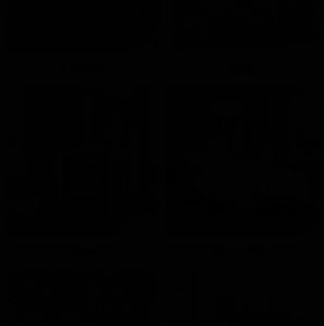 Meet your Posher, Dawn-everlina